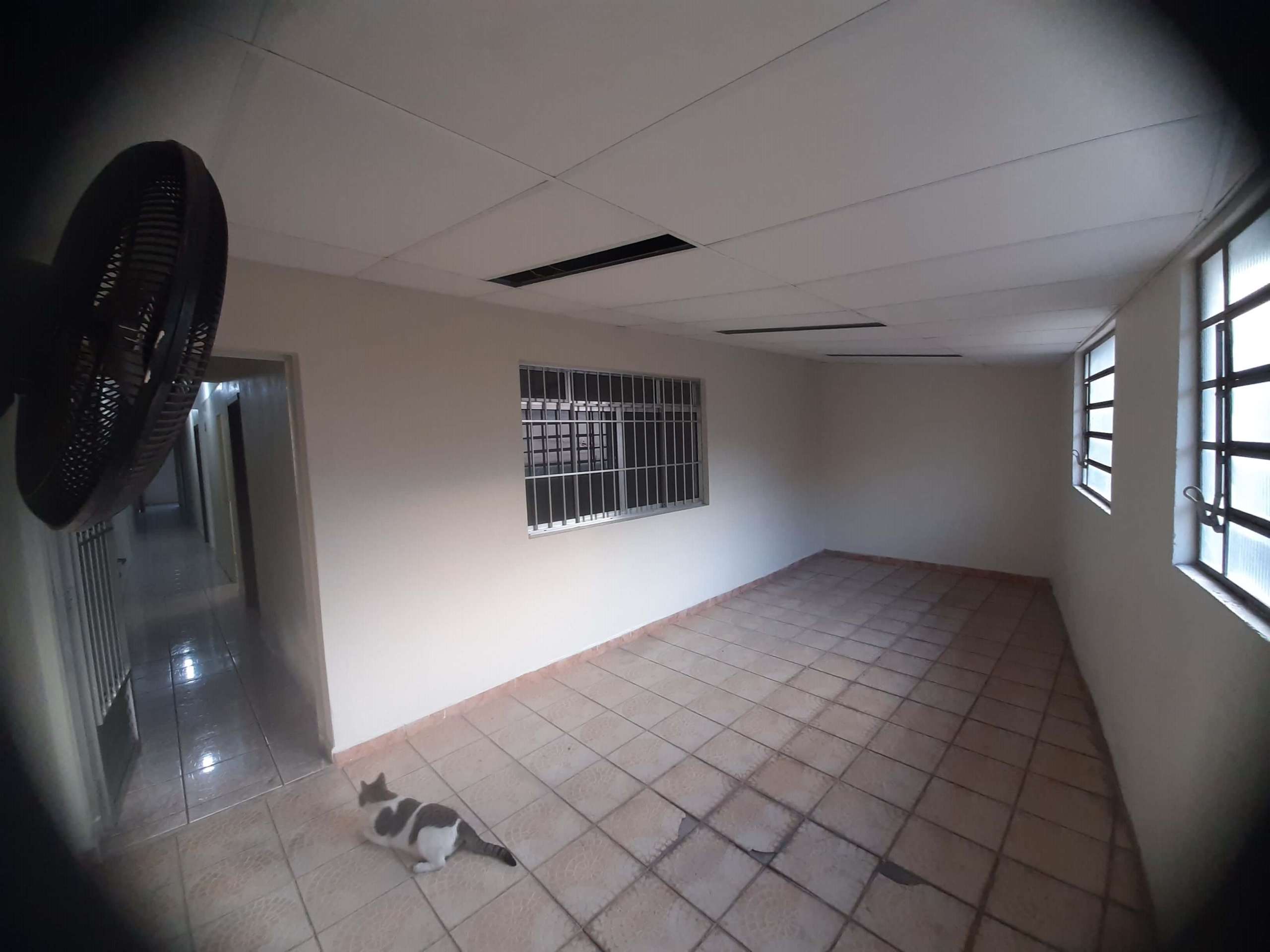 2° sala, 2° andar (esquerda)_001