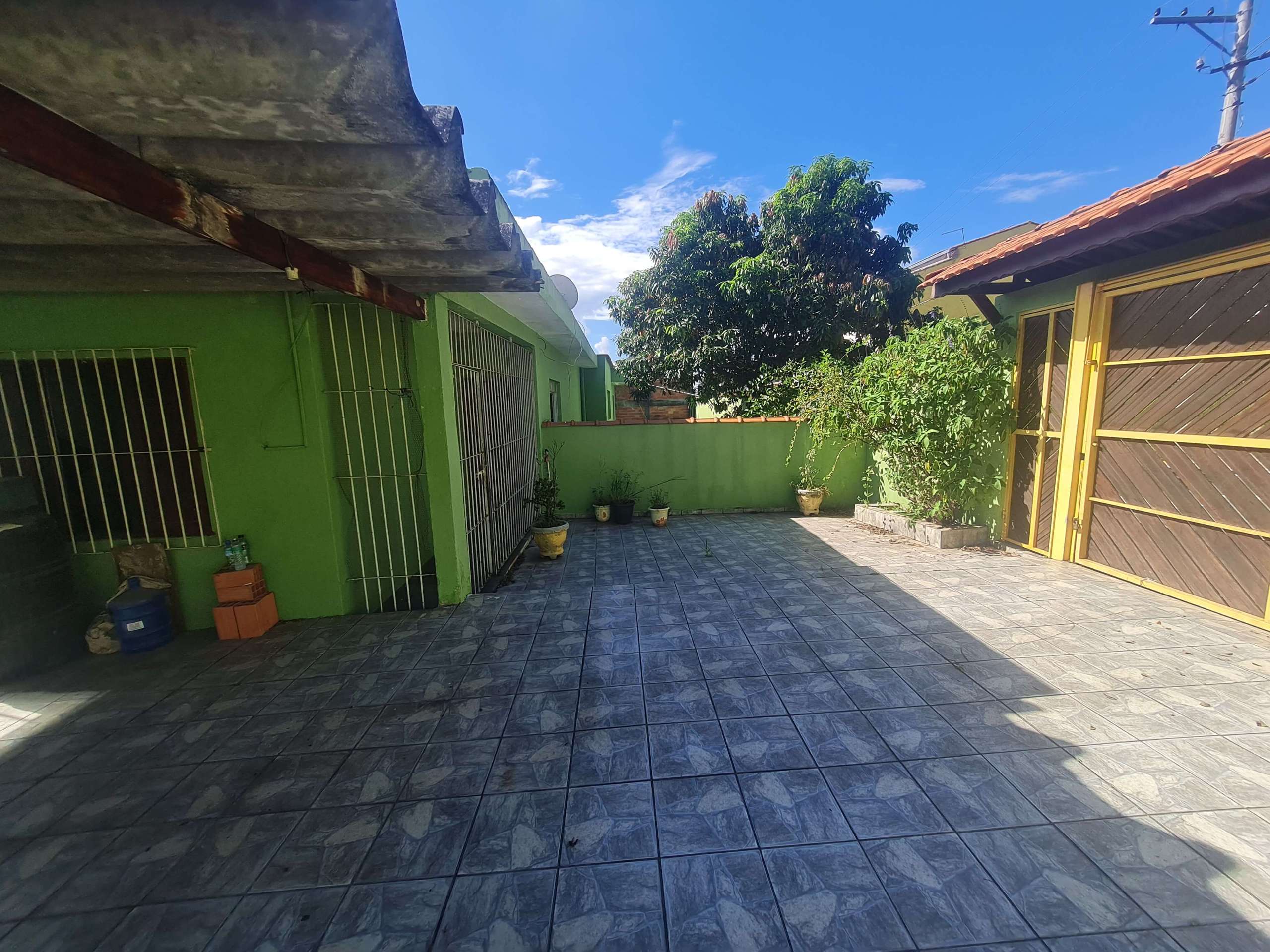 Quintal_006