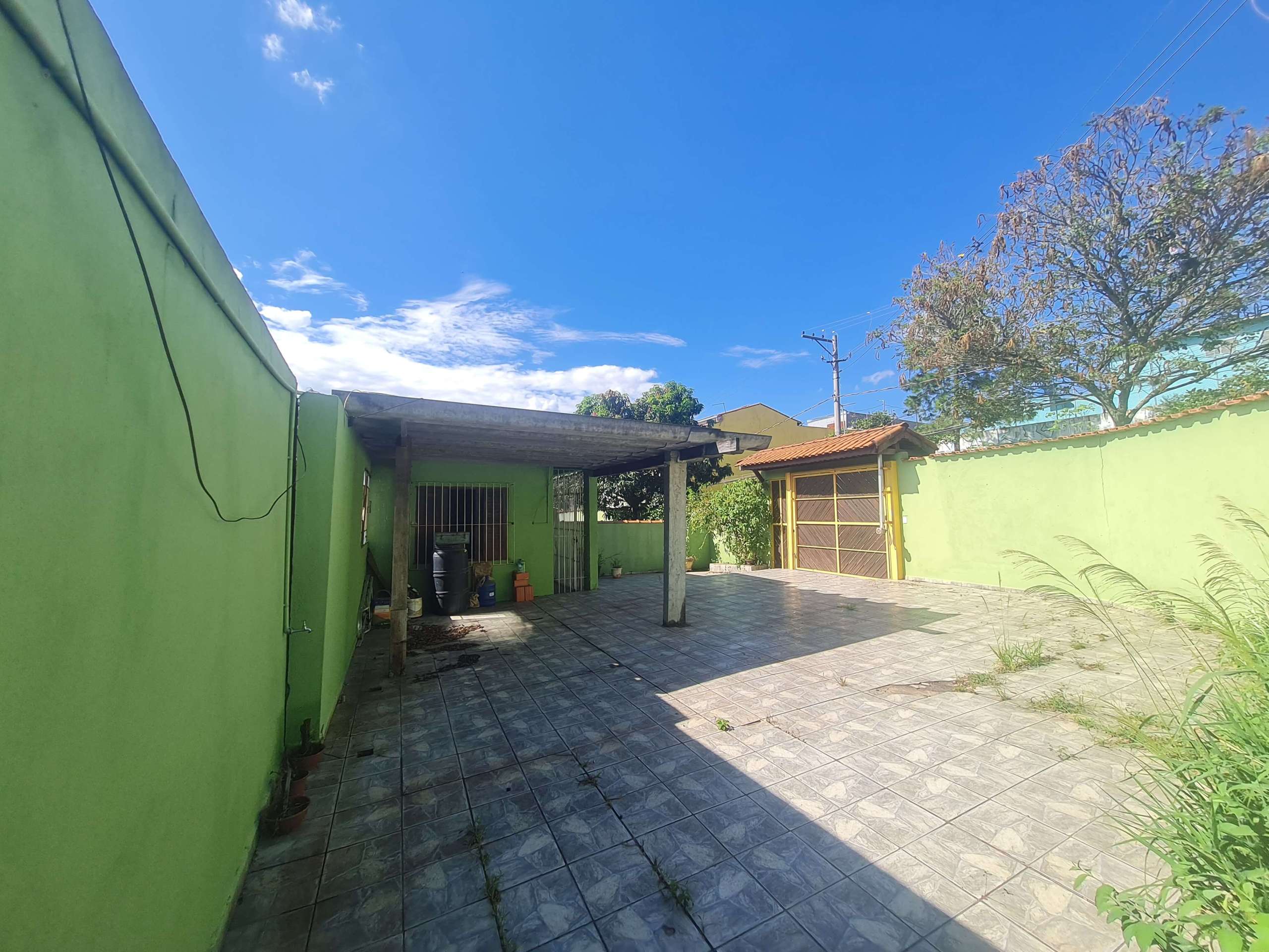 Quintal_007