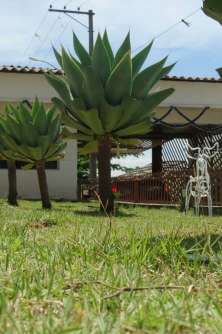 Jardim da frente (entrada).
