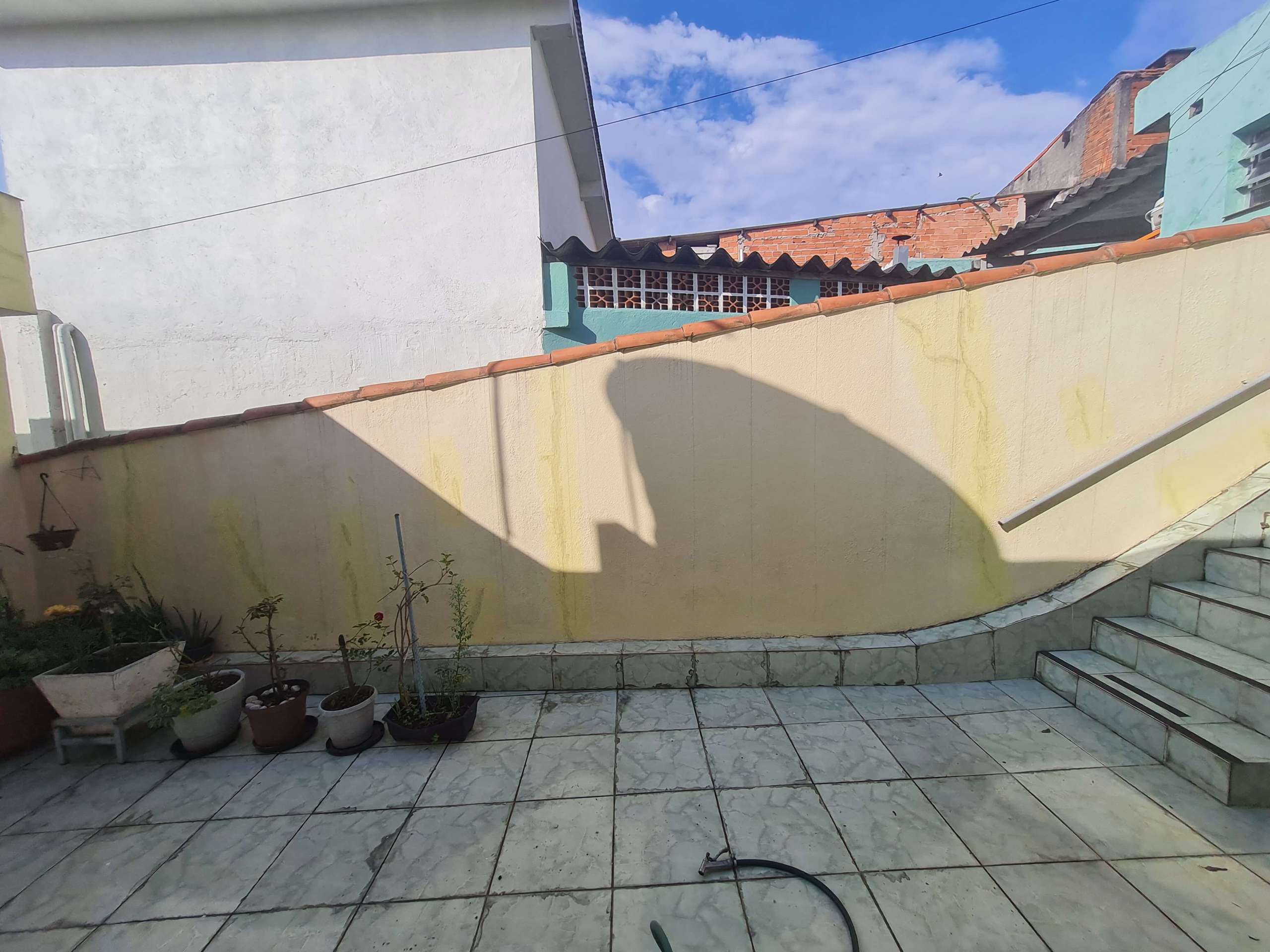 Quintal lateral_002