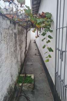 Corredor lateral (quintal).
