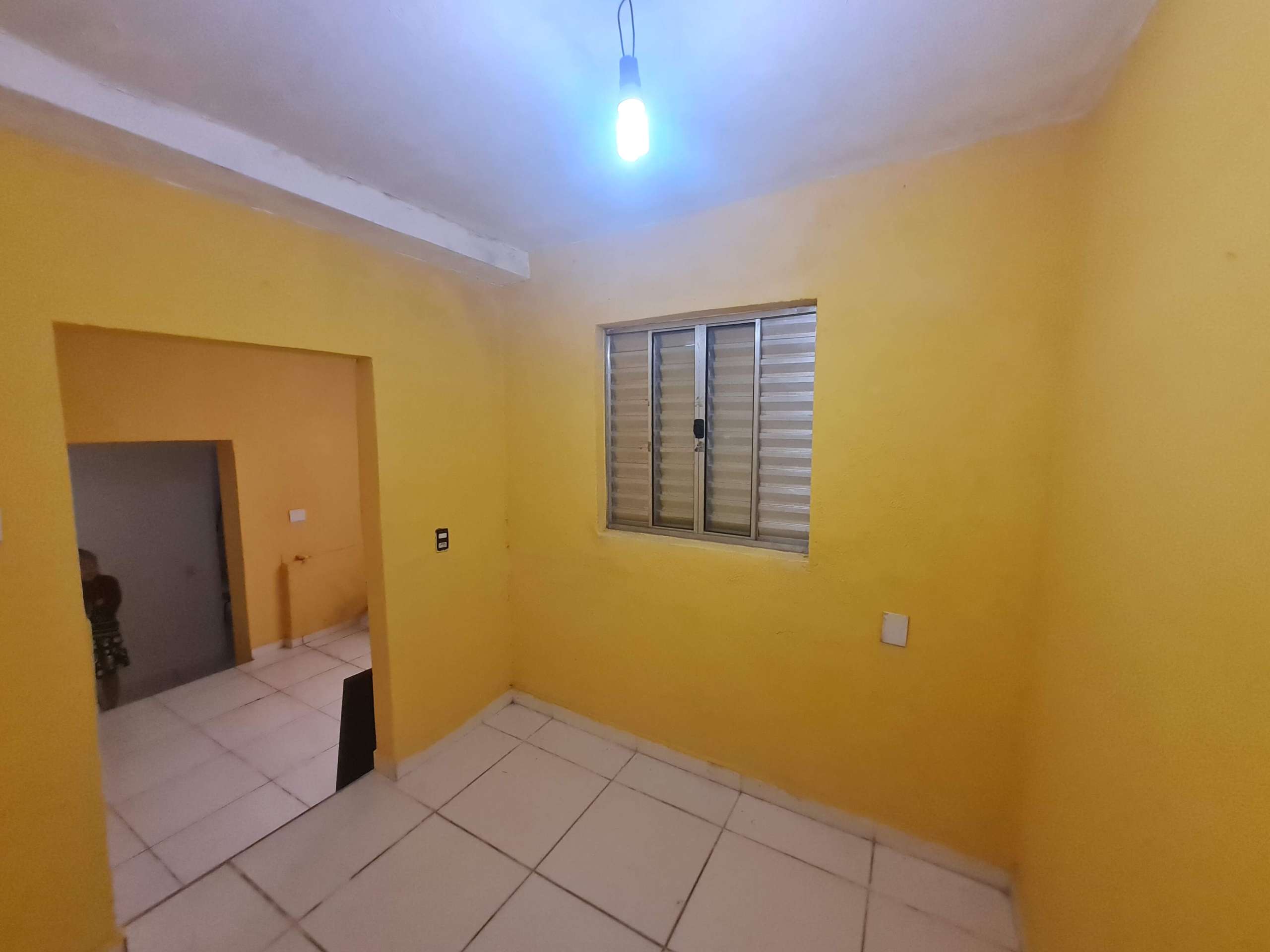 Casa dos fundos, sala_001
